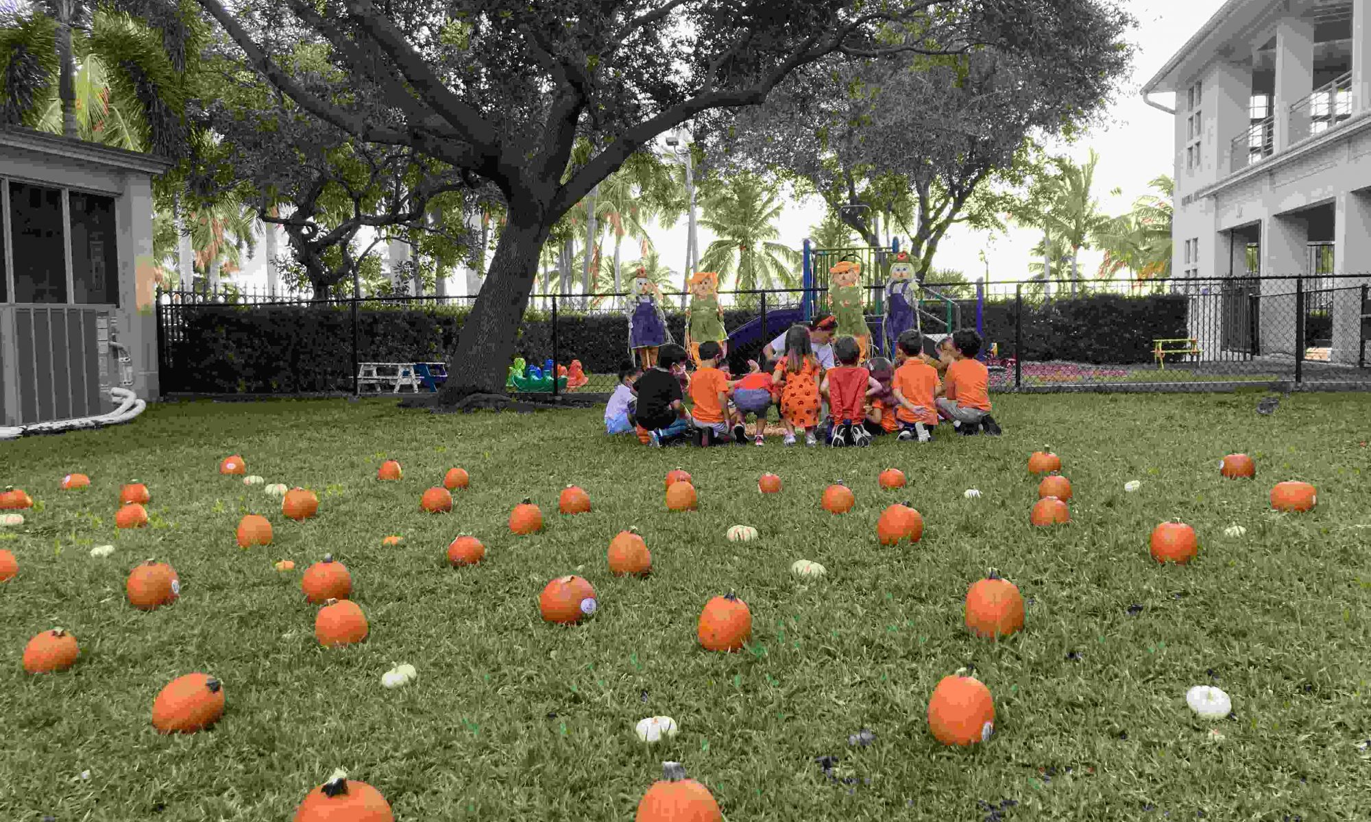 Rosarian Academy Celebrates Orange Day!