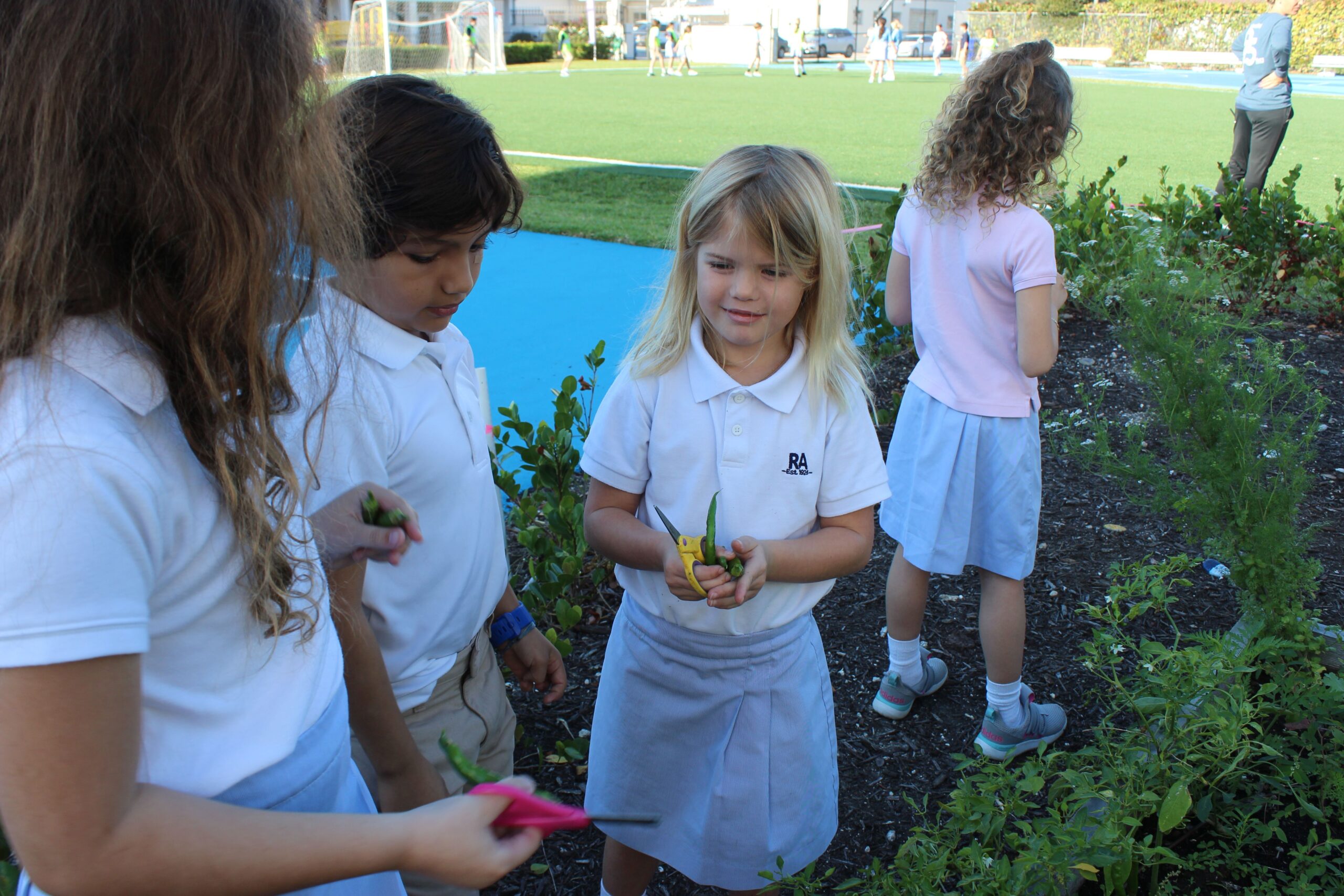 First Graders&#8217; Friday Harvest