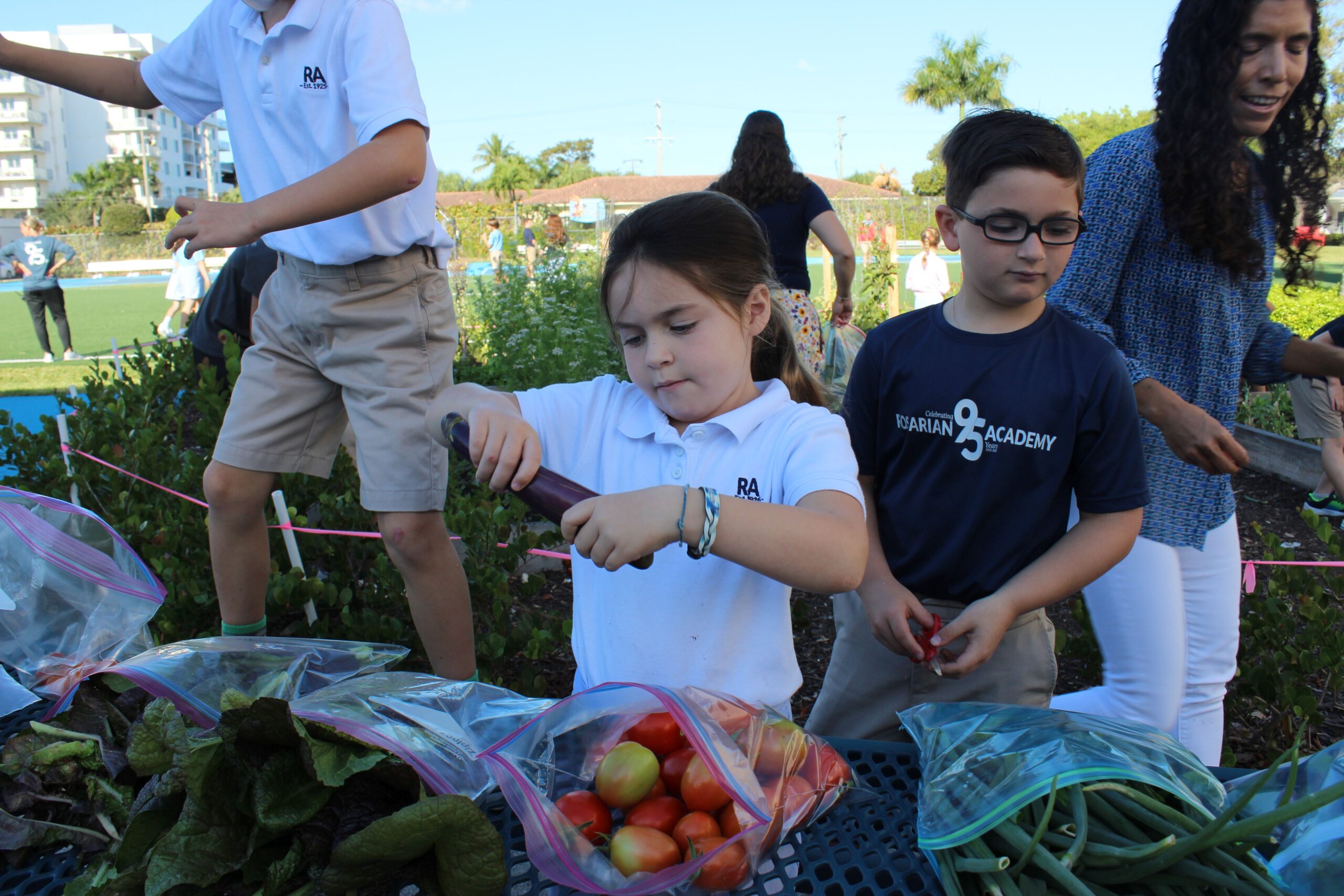 First Graders&#8217; Friday Harvest